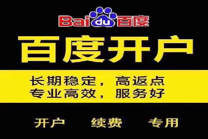 百度竞价成功案例解析